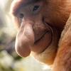 Profile Picture of Jacob Carden (@@jacob_carden) on Tiktok