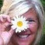 Profile Picture of Nancy Swanson Fisk (@nancswan) on Instagram