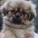 Emil Nødtvedt - Instagram Profile Picture of Emil Nødtvedt (@emilnodtvedt) on Instagram