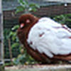 Profile Picture of findus2009 (@findus2009) on Flickr