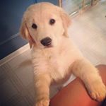 Profile Picture of Thomas Andresen (@thomandre2008) on Instagram