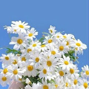 Profile Picture of Daisy With The Clouds (@daisywiththeclouds4674) on Youtube