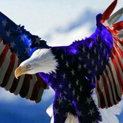 Profile Picture of Craig Folse (@CraigFolse) on Twitter