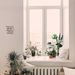 Profile Picture of Ruby Mackrell (@englishw3j0083) on Pinterest