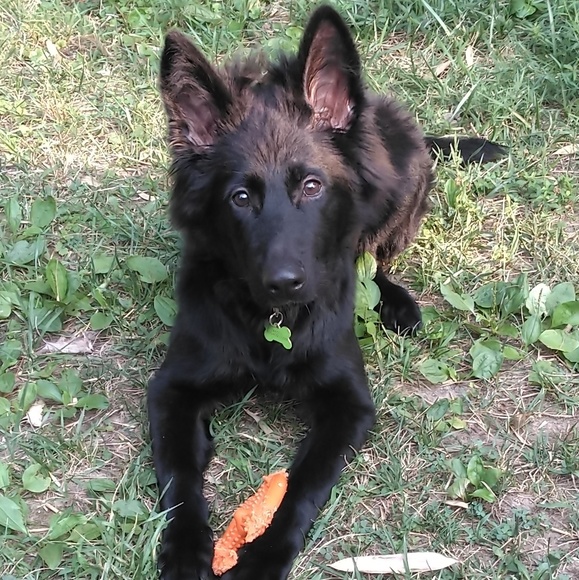 Profile Picture of Dempsey James (@dempseyj32) on Poshmark