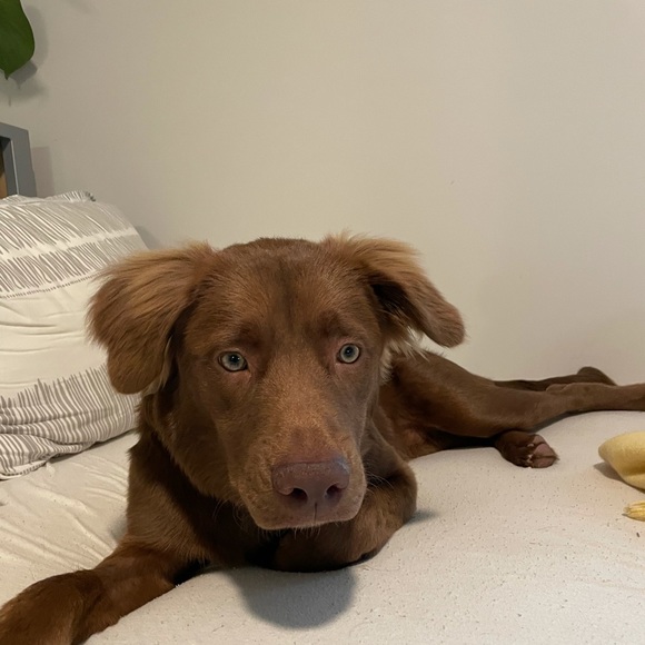 Profile Picture of Justin Dobbs (@jdobbs07) on Poshmark