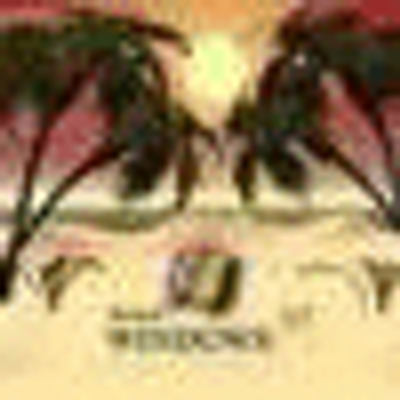 Profile Picture of Kim Slater (@mumblemis) on Twitter