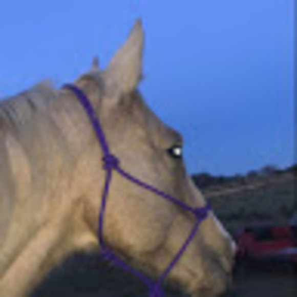 Profile Picture of Gabriella Chavez (@gabic624) on Poshmark