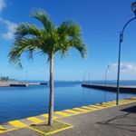 Profile Picture of Joey O'Neil (@reeeeeee_man) on Instagram