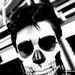 Profile Picture of Daniel Ruge (@copherpat1) on Pinterest