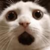 Profile Picture of Darryl Gladden III (@@djgladden14) on Tiktok