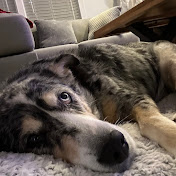 Profile Picture of Benjamin Blair (@BenjaminBlair-of2rs) on Youtube