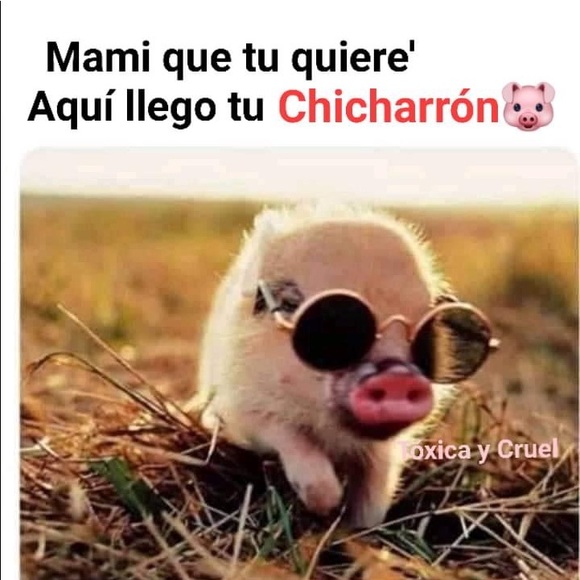 Profile Picture of Norma Rivera (@normacrh0929) on Poshmark