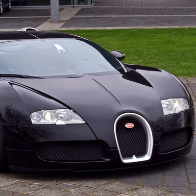 Profile Picture of Buddy (@adammilby3) on Twitter