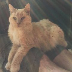 Profile Picture of chigarber (@chigarber) on Tiktok