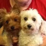 Profile Picture of Jim Nancy Brumblay (@pearllounancy) on Instagram