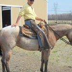 Profile Picture of Richard Stahl (@stahlakron) on Instagram