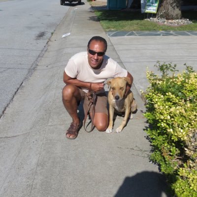 Profile Picture of Joseph Solari (@fittrim) on Twitter