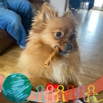 Profile Picture of Catherine Polanski Boudreau (@catherine.polanski.boudreau) on Facebook