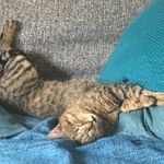 Profile Picture of Caroline LE Tutour (@carolineletutour) on Instagram