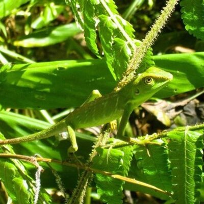 Profile Picture of Robert Clement (@zellrober) on Twitter