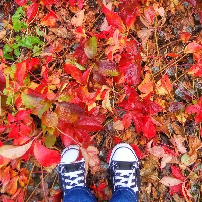 Profile Picture of Autumn (@SadnessOfAutumn) on Twitter