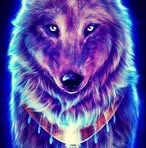 Profile Picture of Erick Tarquini Chura (@Erick-Tarquini-Chura) on Facebook