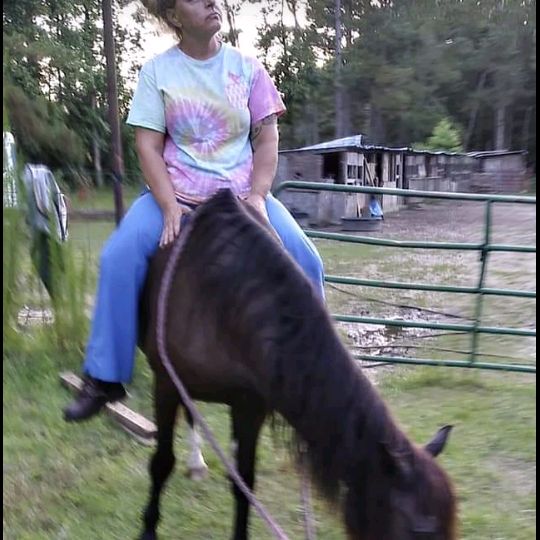 Profile Picture of Kimberly Quattlebaum (@kkqbaum78) on Tiktok