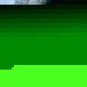 Profile Picture of Thomas Hallum (@403105058) on Myspace