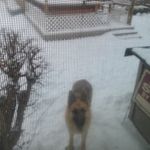 Profile Picture of Beverly Murphy Bryant Thompson (@beverlybryant68) on Instagram