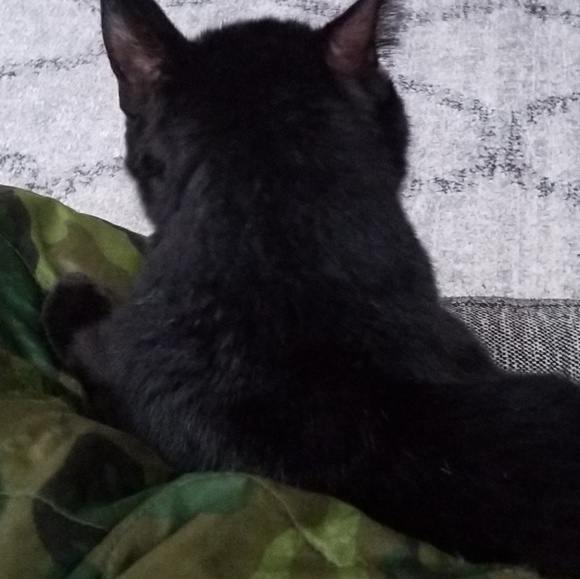 Profile Picture of Sara Heidebrink (@s_heidebrink) on Poshmark