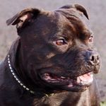 Profile Picture of John Ryder (@kannechor1) on Instagram