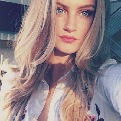 Profile Picture of Alexis Cook (@_alexxiscook) on Twitter