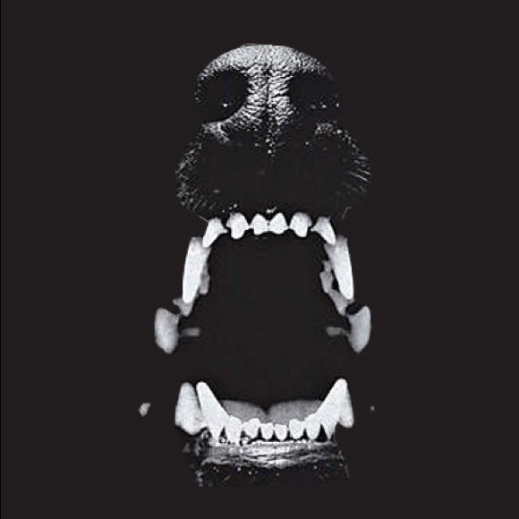 Profile Picture of Devon Nelson (@devonbnelson) on Poshmark