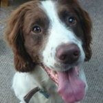 Profile Picture of Jo Hodgson (@jo.hodgson.3) on Instagram