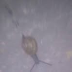 Profile Picture of Fausto Esquivel (@Fausto-Esquivel) on Facebook