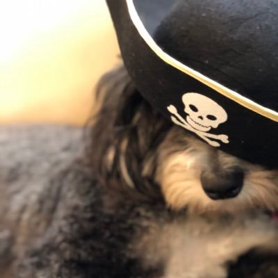 Profile Picture of Joseph Robbins (@thaetan) on Twitter