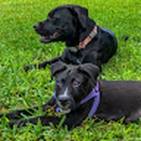 Profile Picture of Jason Birch (@jason-birch-40) on Quora