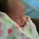 Profile Picture of Brian Dibben (@gtgeorge351) on Instagram