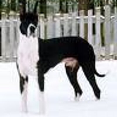 Profile Picture of David Ames (@seabattery) on Twitter