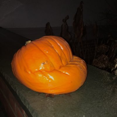 Profile Picture of Drinking 3 Monster Mean Beans On A 14 Hour Drive (@blackedbeard) on Twitter