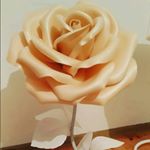Profile Picture of Зубайраева Амина (@aminazubairaeva95) on Instagram
