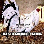 Profile Picture of Alberto de Monaco (@albertodemonaco69) on Instagram