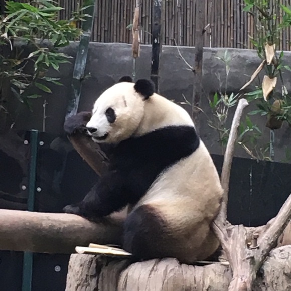 Blythe Broido - Poshmark Profile Picture of Blythe Broido (@bblytheb) on Poshmark