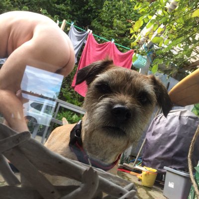 Profile Picture of Mark Heardman (@MarkHeardman) on Twitter