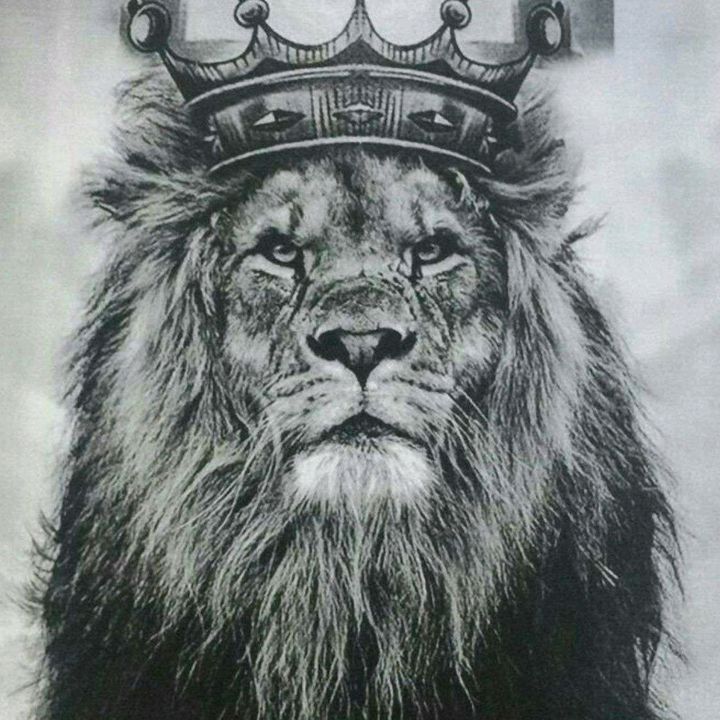 Profile Picture of joshuamorrell14 (@@joshuamorrell14) on Tiktok