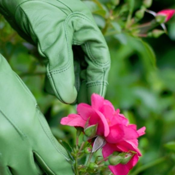 Profile Picture of Kara Buttimer (@angelasgarden) on Poshmark