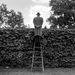 Profile Picture of Adam Dummar (@73voices) on Pinterest