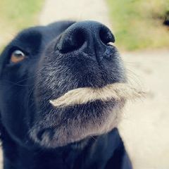 Profile Picture of Lucinda Kerr (@lucindakerr2) on Tiktok