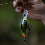 Profile Picture of Daniel Alapai (@312pie) on Instagram